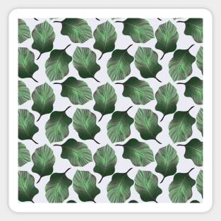 Tropical Leaves Pattern in Green Sticker